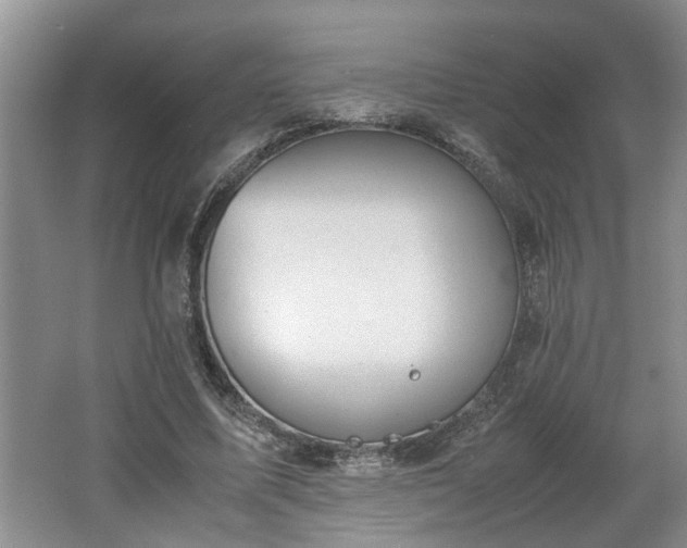X0000062600587200512230855