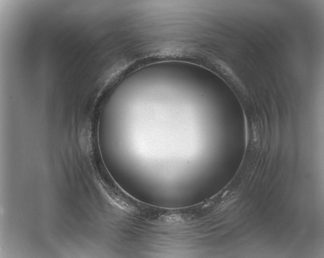 X0000062600588200512230855