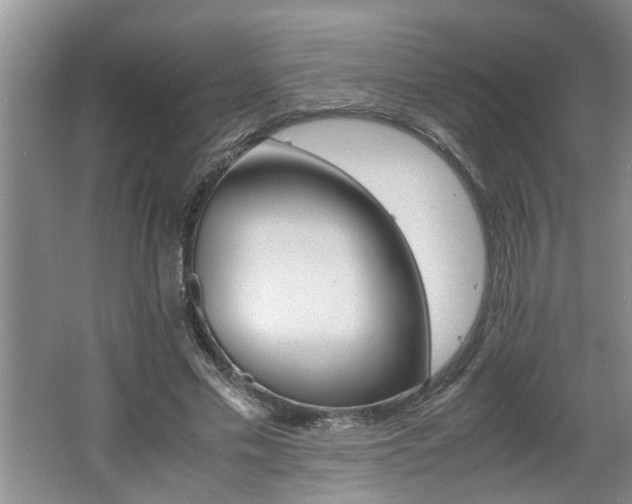 X0000062600589200512230855