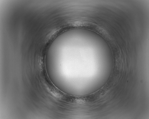 X0000062600592200512230855