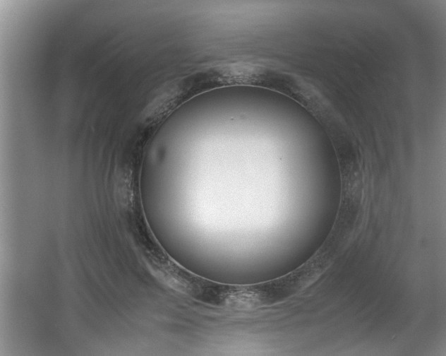 X0000062600599200512230854