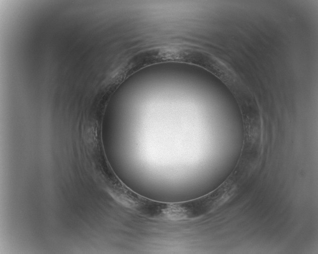 X0000062600603200512230854