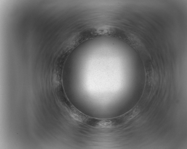X0000062600606200512230854