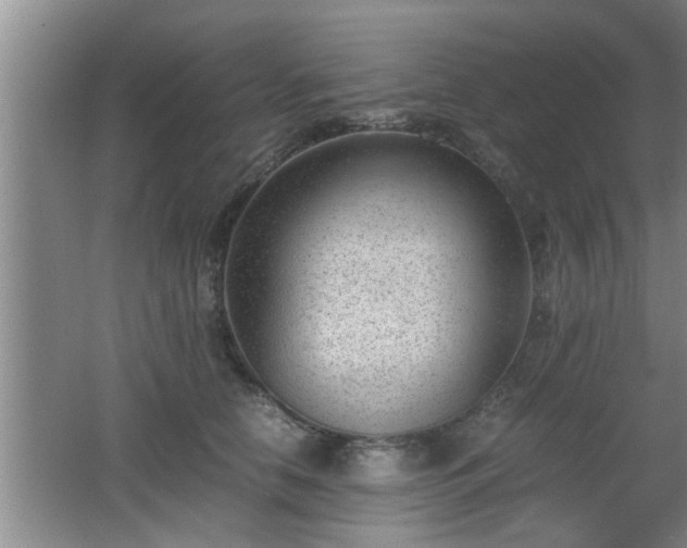 X0000062600658200512230854