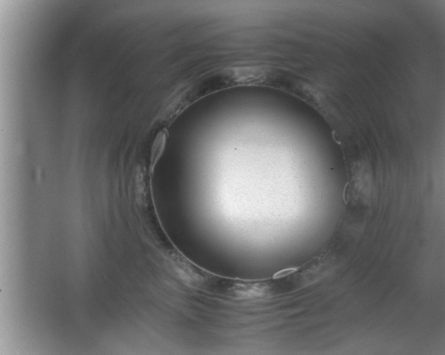X0000062600667200512230854