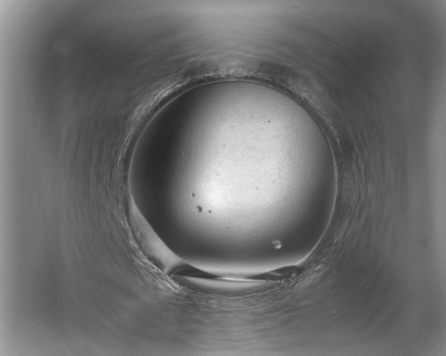 X0000062600673200512230853