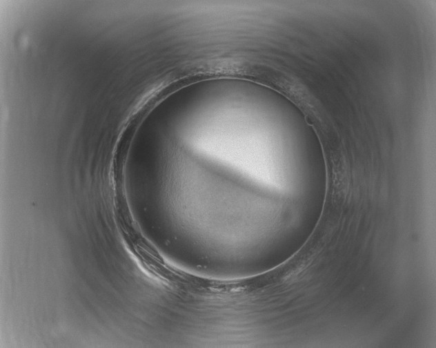X0000062600674200512230853
