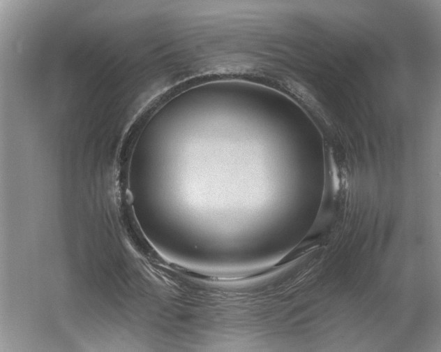 X0000062600676200512230853