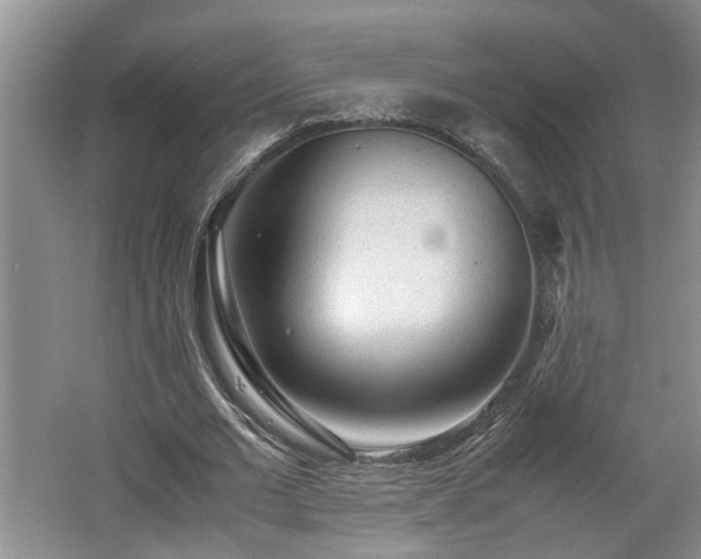 X0000062600677200512230853