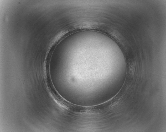 X0000062600678200512230853
