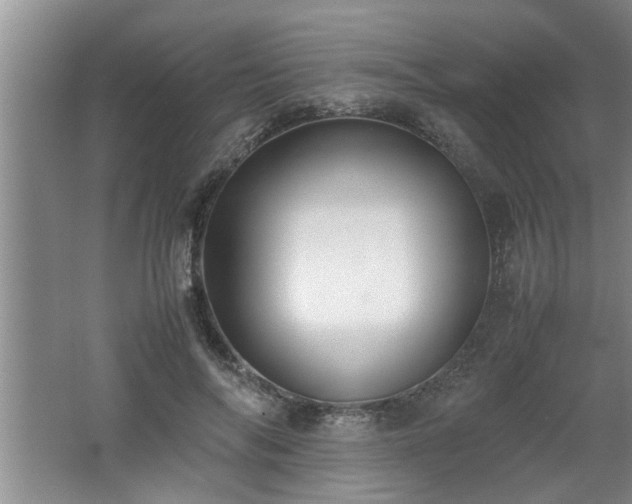 X0000062600694200512230853