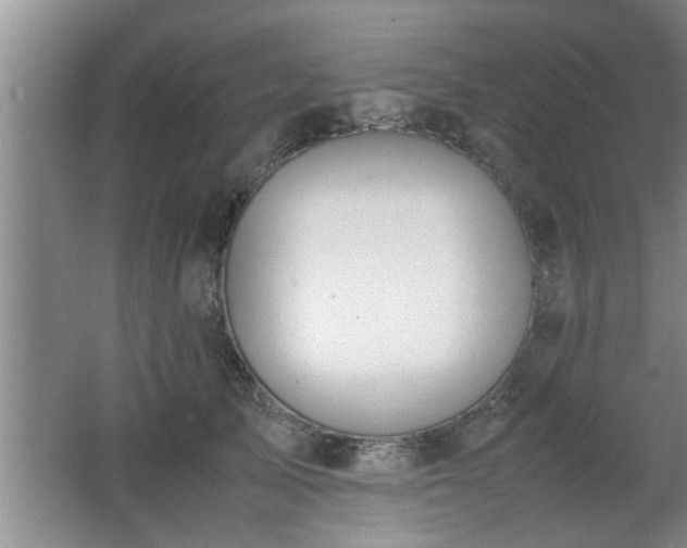 X0000062600705200512230853