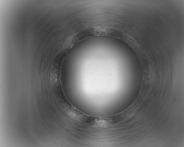 X0000062600706200512230853