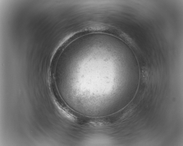 X0000062600726200512230852