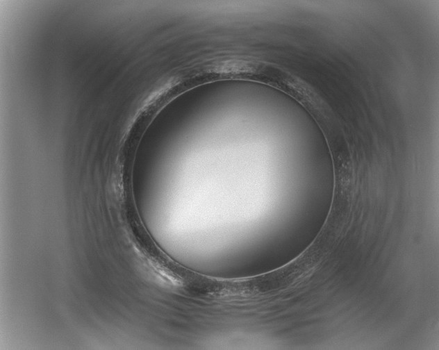 X0000062600727200512230852