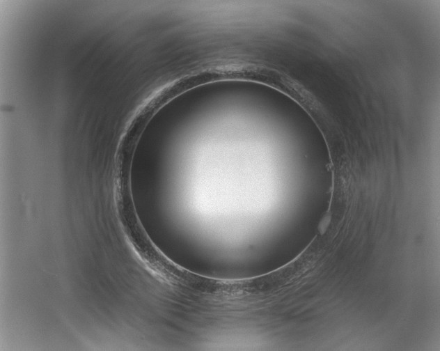 X0000062600728200512230852