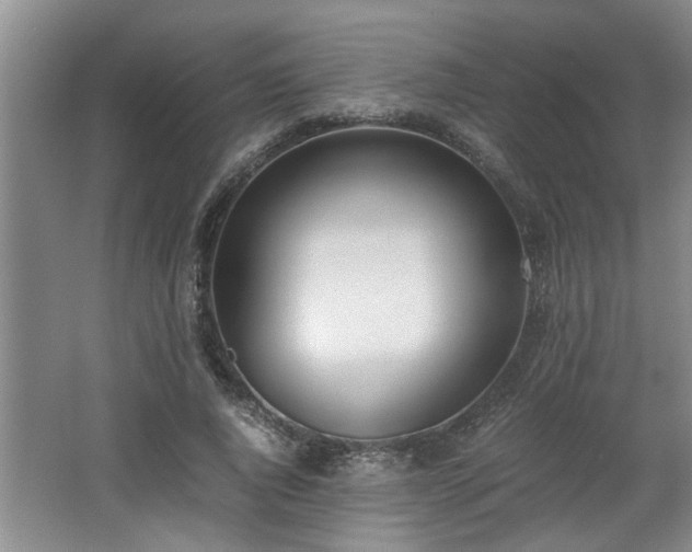 X0000062600736200512230852