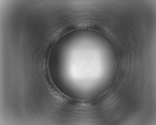 X0000062600737200512230852