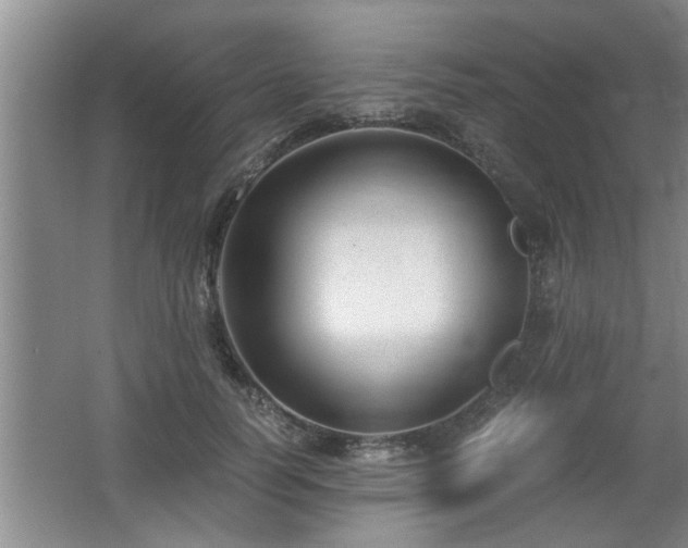X0000062600746200512230852