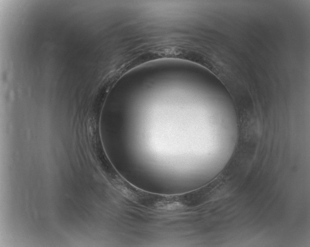 X0000062600747200512230852