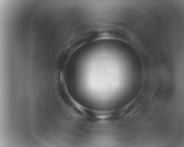 X0000062600750200512230852