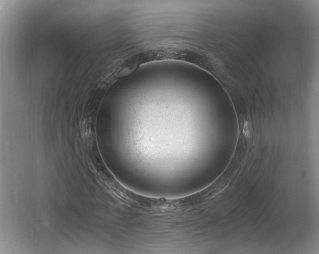 X0000062600771200512230852