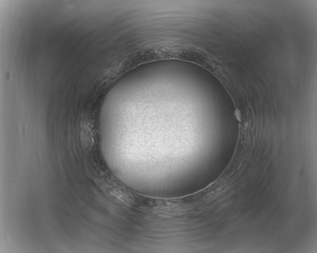 X0000062600772200512230851
