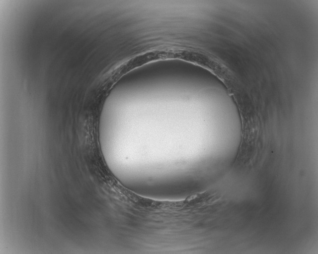X0000062600773200512230851