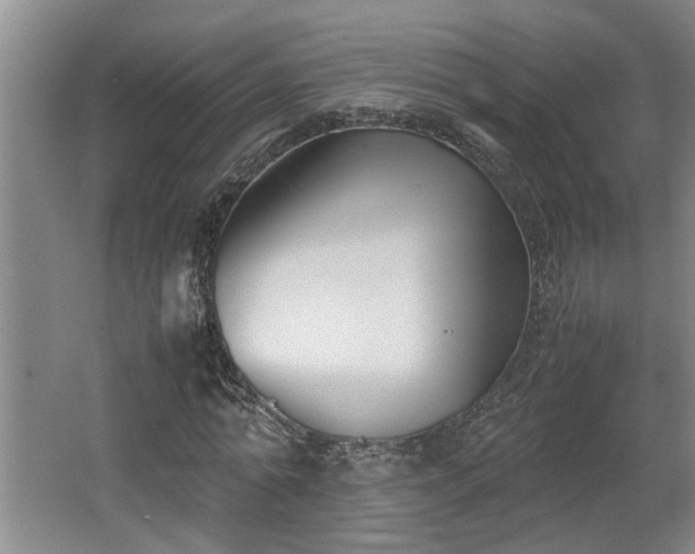 X0000062600774200512230851