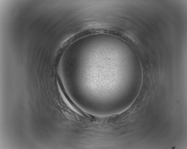 X0000062600775200512230851