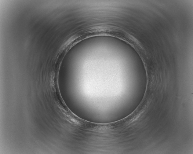 X0000062600778200512230851