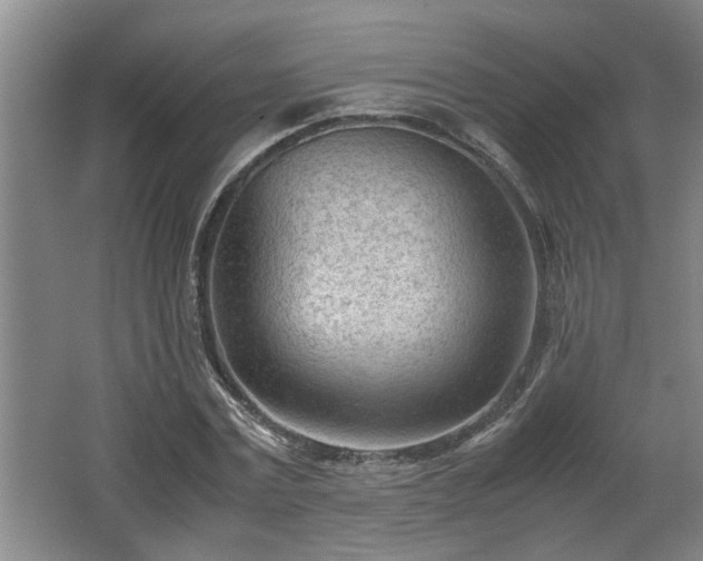 X0000062600779200512230851