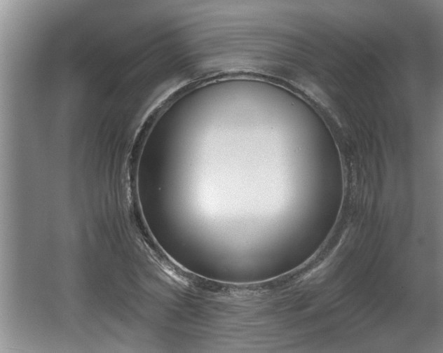 X0000062600782200512230851