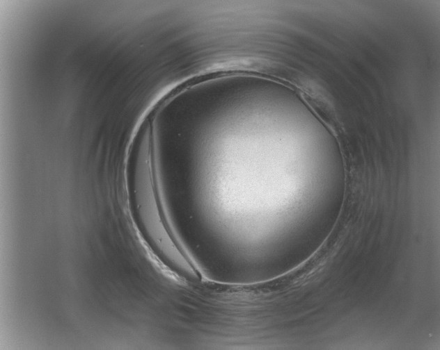 X0000062600792200512230851