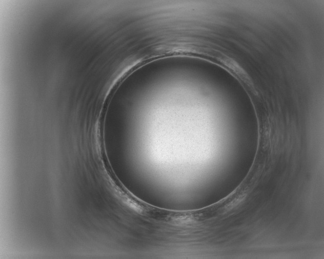 X0000062600798200512230851