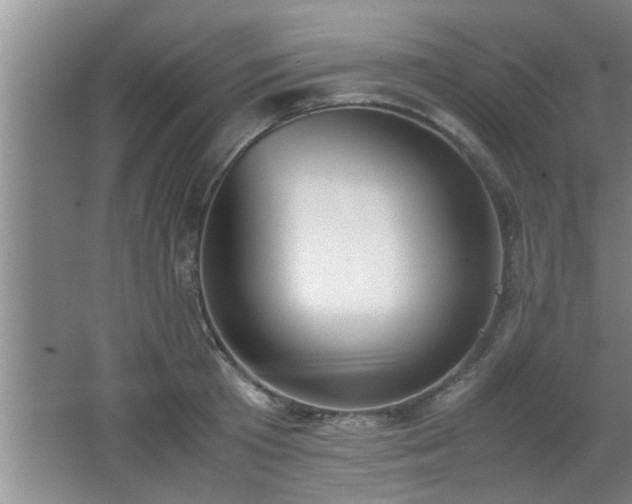 X0000062600801200512230851