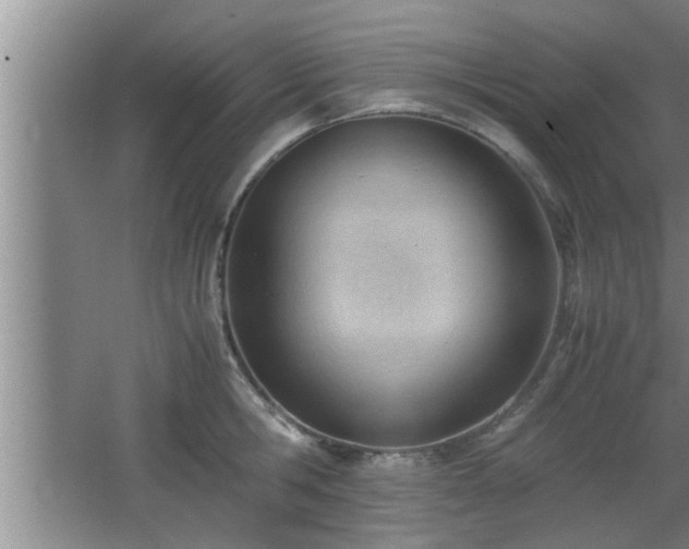 X0000062600806200512230851