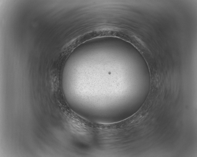 X0000062600821200512230850