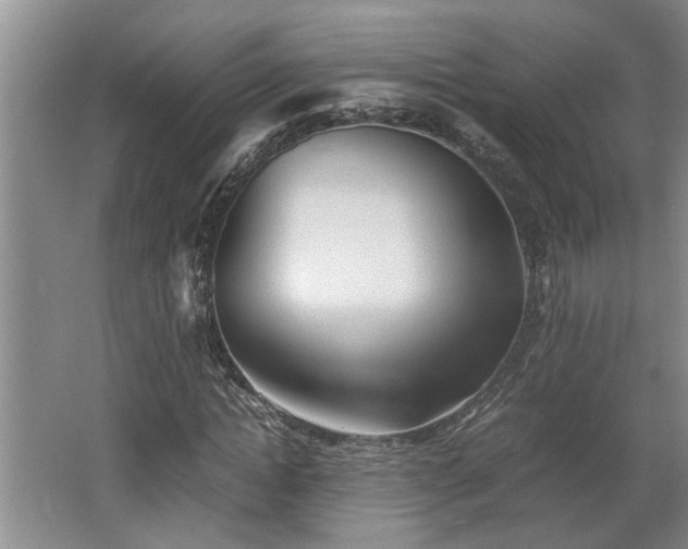 X0000062600822200512230850