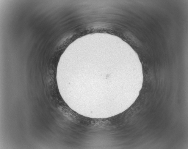 X0000062600824200512230850