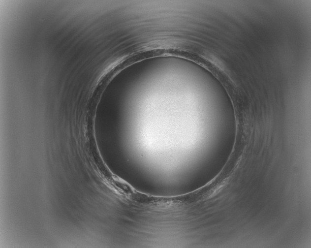 X0000062600826200512230850