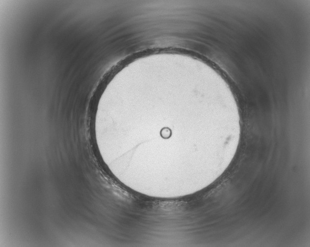 X0000062600832200512230850