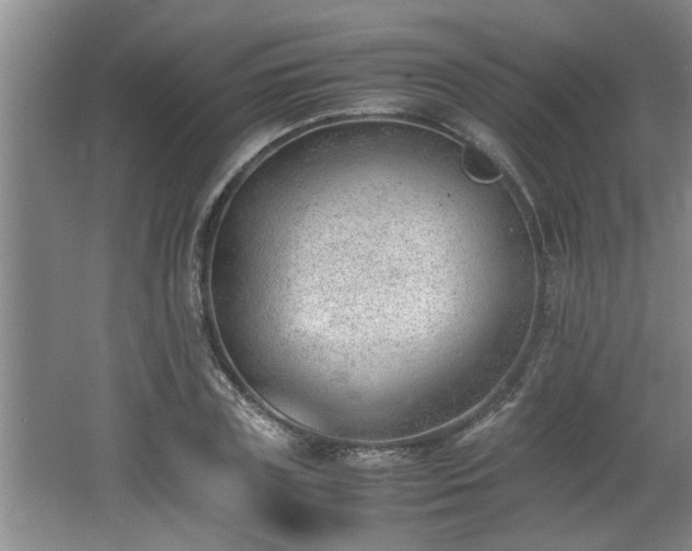 X0000062600835200512230850