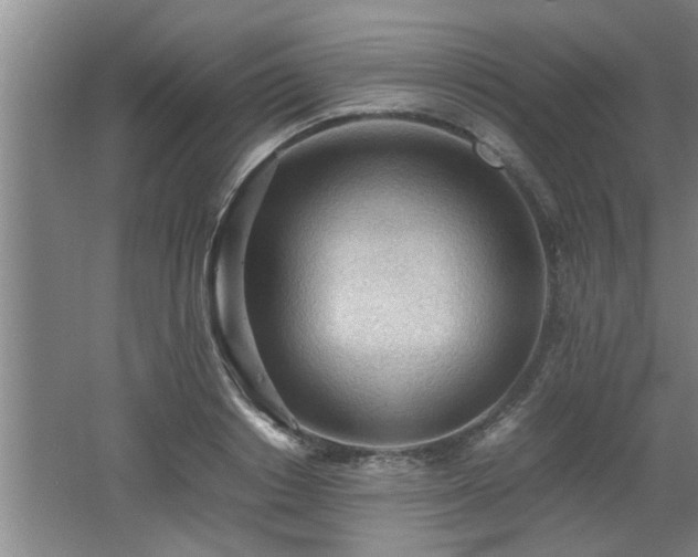 X0000062600842200512230850