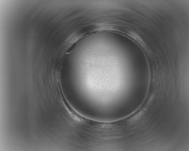 X0000062600849200512230850