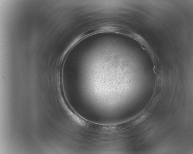 X0000062600859200512230851