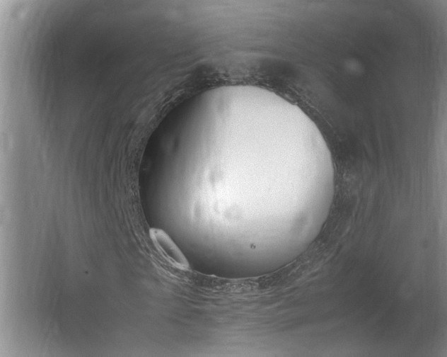 X0000062600865200512230850