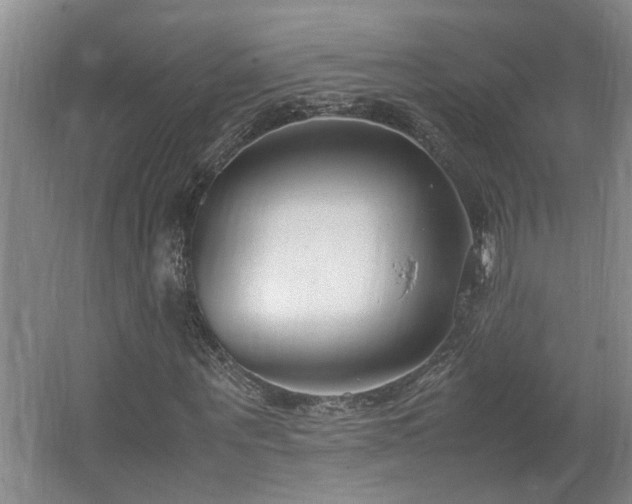 X0000062600867200512230850