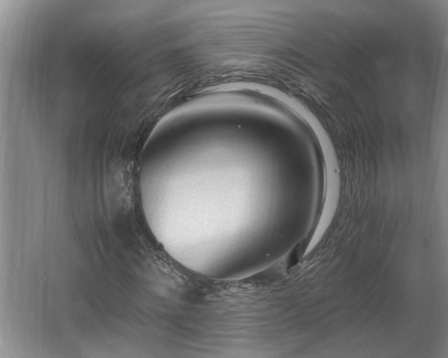 X0000062600868200512230850