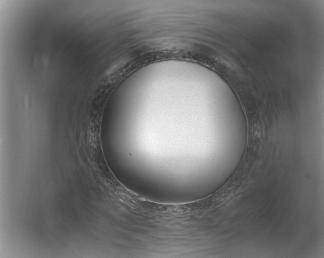 X0000062600869200512230850